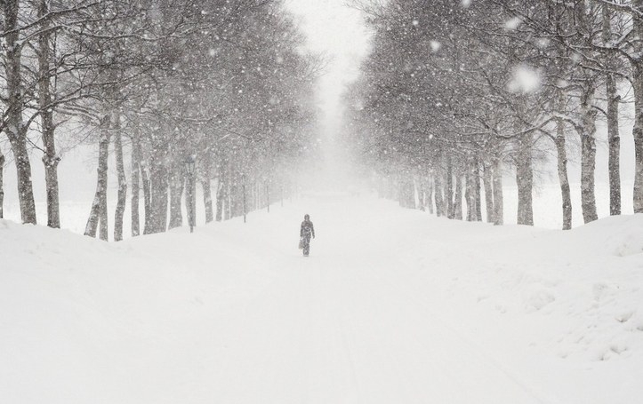 资本寒冬个人何去何从,资本寒冬下的蛰伏视频