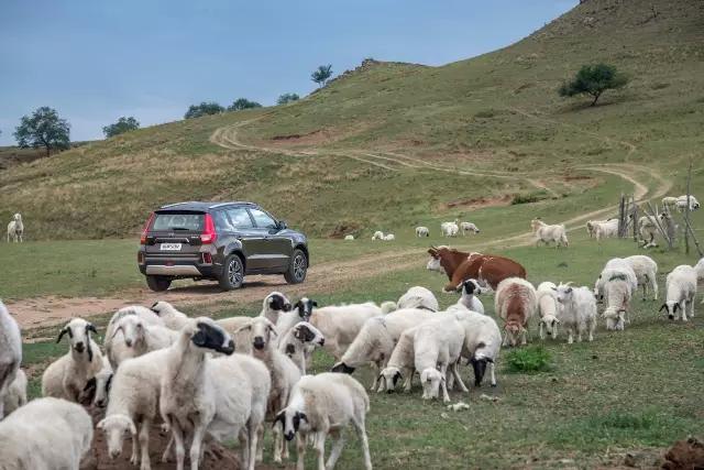 国产又一爆款suv顶配只要10万,又一款国产神车suv