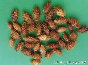 孩子鼻炎中医怎么调理最好,孩子鼻炎这样处理有效缓解