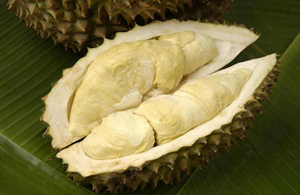 抗癌名医都吃这8类食物,这七种食材是防癌抗癌的天然食材