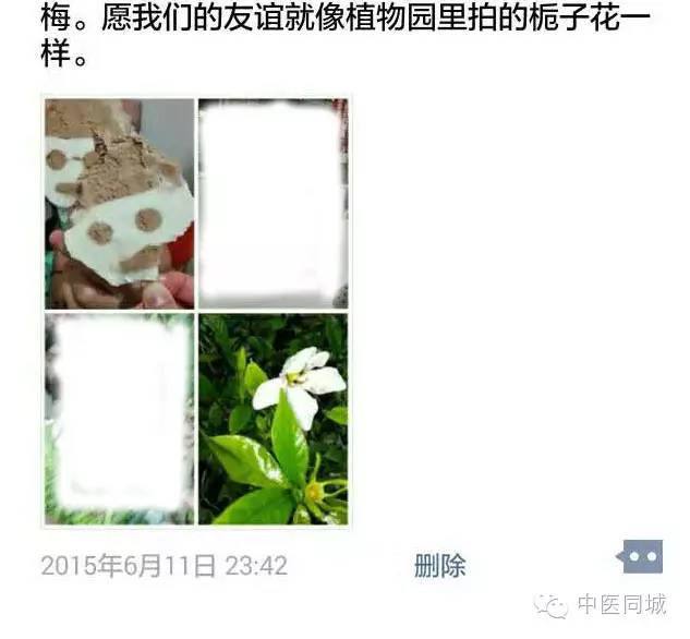 发现深圳的中草药|一生“栀”爱，一往而深