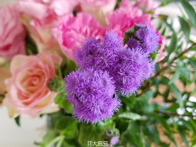 三星note7王者荣耀测评,三星note7机皇