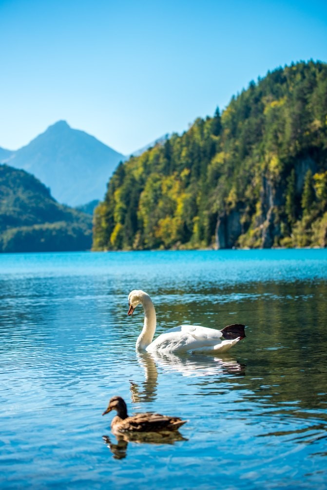 伪摄影师与真正的摄影师,伪摄影师