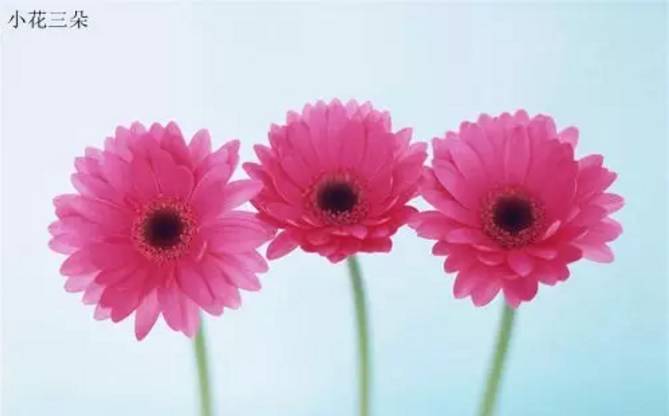 韩春雨谈重复实验失败,韩春雨常识思维