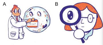 跟着高分sci学作图,期刊编辑推荐的sci作图软件有哪些