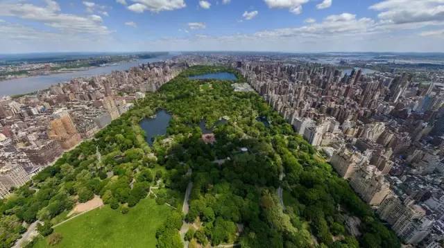 为成都建设添砖加瓦,为四川成都点赞