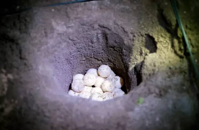 不需要签证的最美海岛,最美海岛免签的地方