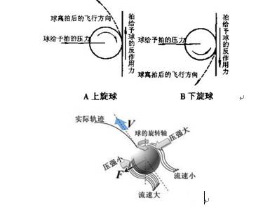 跟着运动健儿一起奋进,跟着冬奥来锻炼