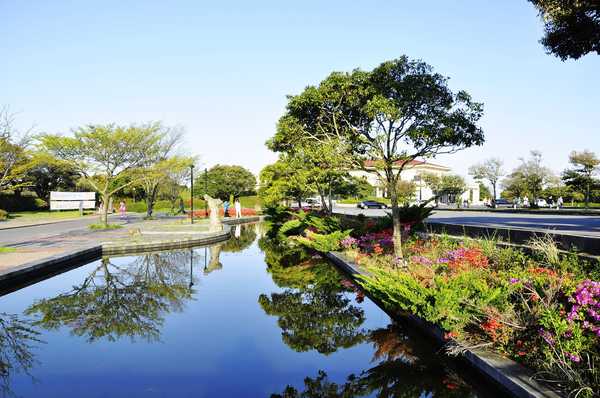 济州岛火山是活火山吗,火山遗址