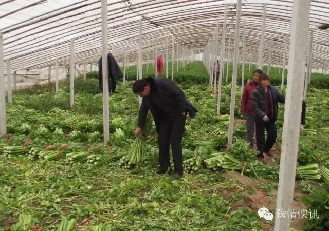 2021年南阳市劳动模范公示名单,河南省劳动模范和先进工作者名单