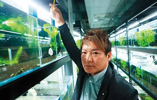 世界第一！台湾屏东水族王国靠出口观赏鱼虾年赚上亿