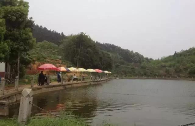 长沙农家乐玩的地方推荐,长沙50元一天包吃住农家乐