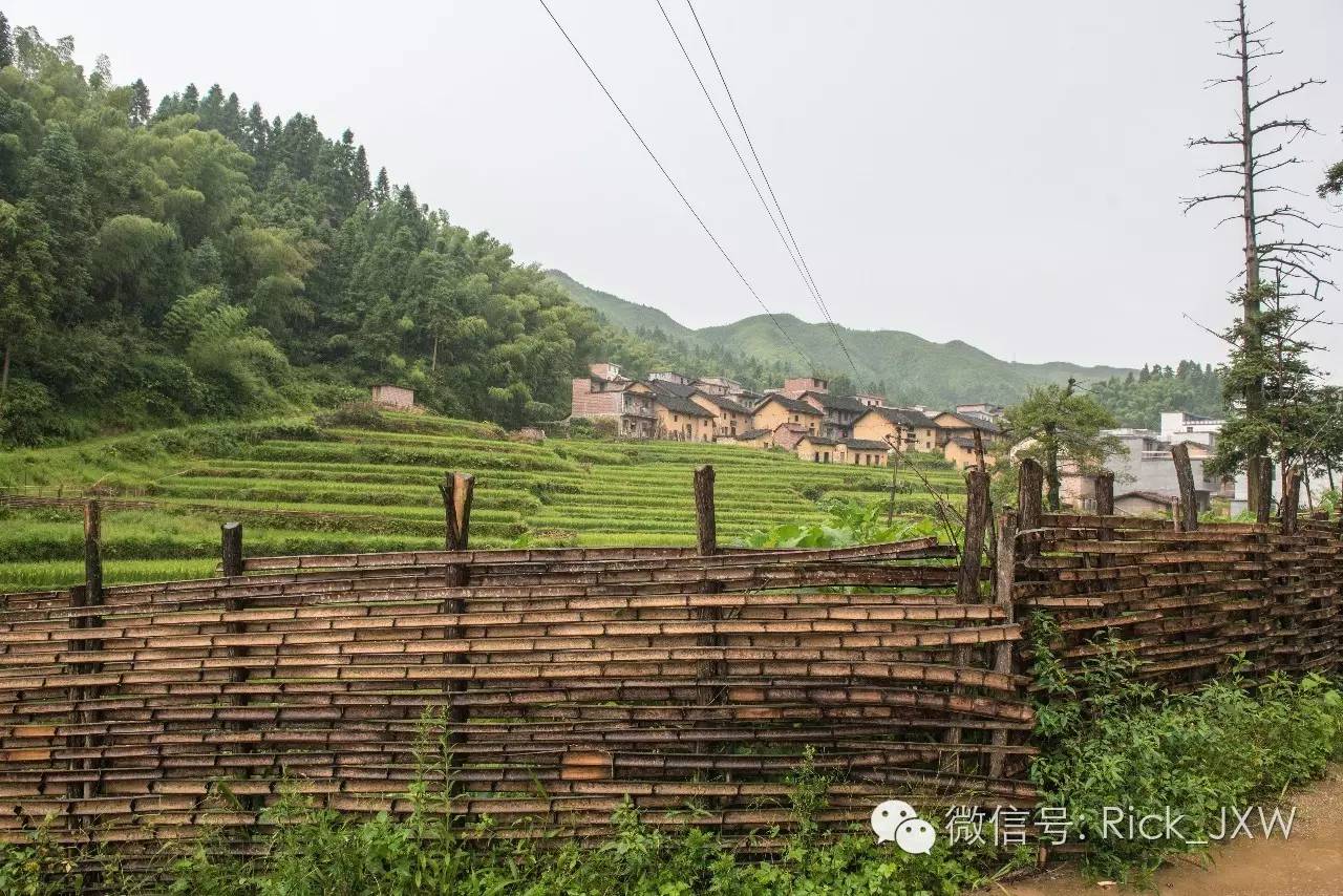 离广州最近的有草地湖泊的地方,离广州最近的山顶草原