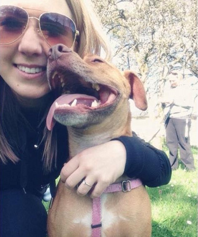 猫打伤比特犬,比特犬撕咬猫咪事件全视频