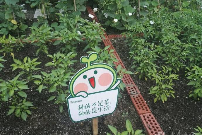 寤轰竴搴х幇浠ｅ寲瓒呭ぇ鍨嬬鐞冨満,寤轰簡涓冻鐞冨満