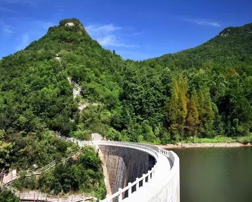 七大美女齐聚信阳！看看她们都是谁?