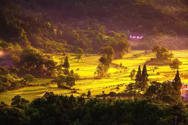 七大美女齐聚信阳！看看她们都是谁?