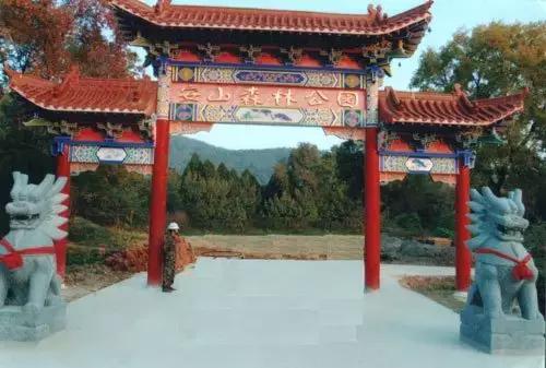 七大美女齐聚信阳！看看她们都是谁?