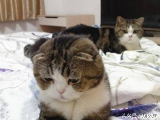 健康大问诊补肾的方法,健康补肾的方法大全