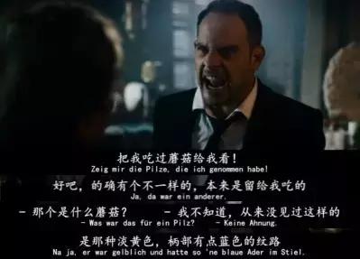 我丝毫不怀疑，这位导演曾来过云南尝过“毒蘑菇”