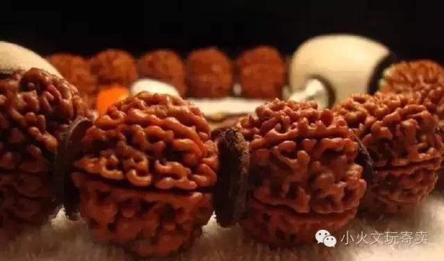 老司机手把手教你做攻略,大金刚平民搭配