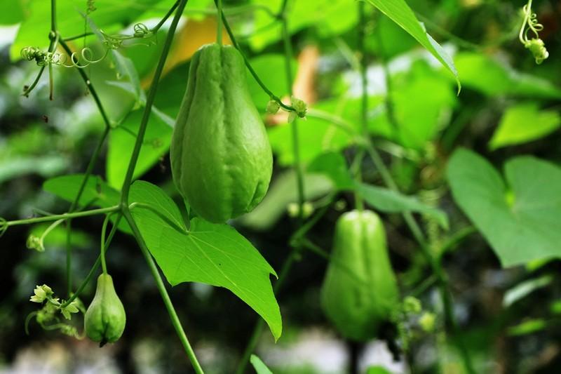 22岁小伙因斑秃或失女友，15年专家临床经验倾囊相授辩证施治