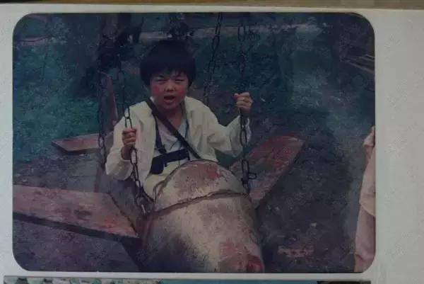 林丹两球惜败李宗伟,无缘金牌,坚持到现在实属不易!