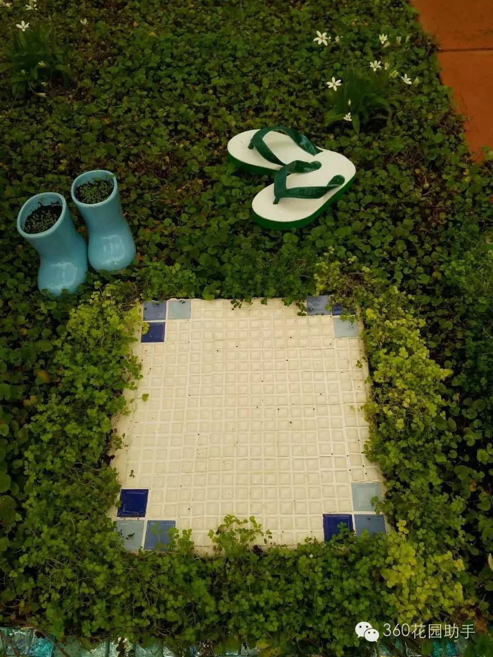 花园小路景观植物,花园小径植物