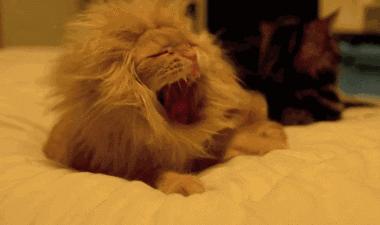 新赛季西甲分析,西甲新赛季分析