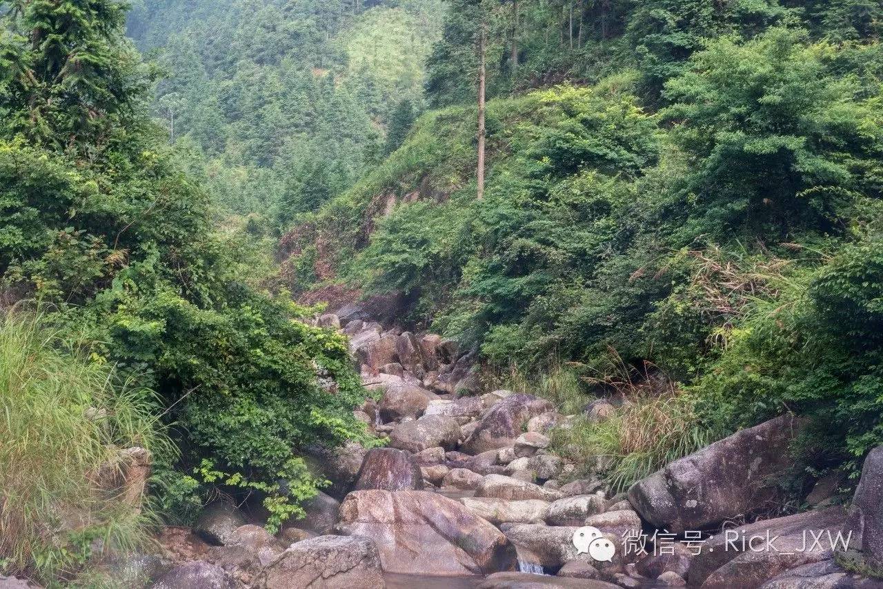 离广州最近的有草地湖泊的地方,离广州最近的山顶草原
