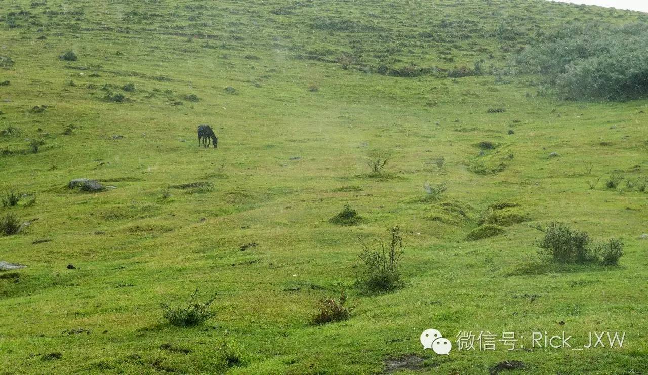 离广州最近的有草地湖泊的地方,离广州最近的山顶草原