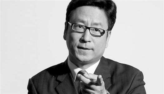 白岩松巴西奥运经典语录,白岩松说伦敦奥运会感动人的话