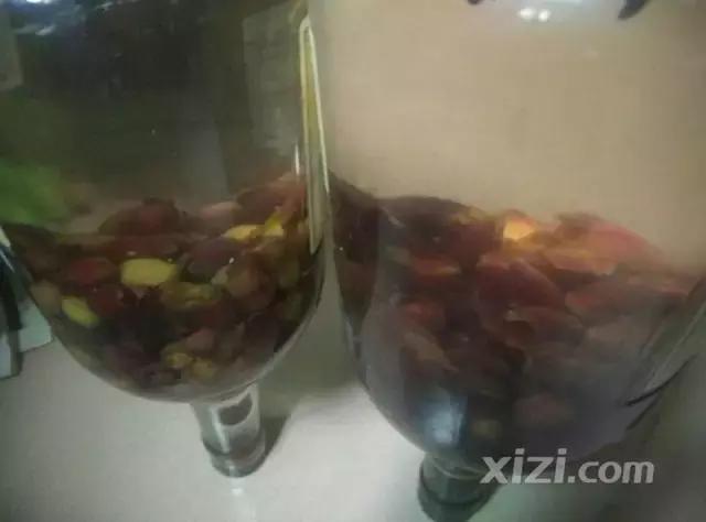 泡稔子酒的全过程,又到三华李熟时