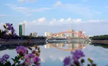 七大美女齐聚信阳！看看她们都是谁?