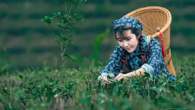 七大美女齐聚信阳！看看她们都是谁?