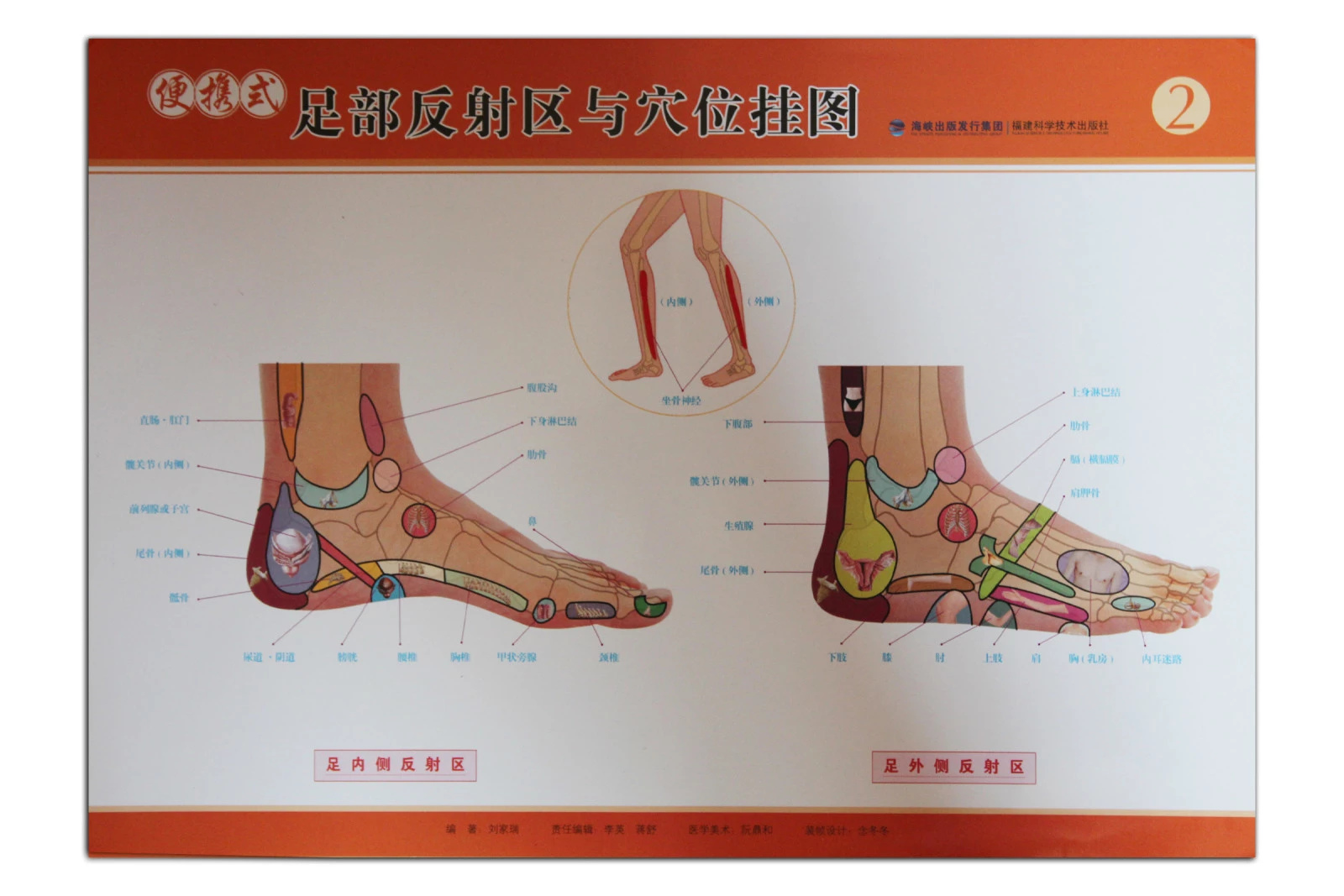 推拿好帮手，便携式足部穴位图