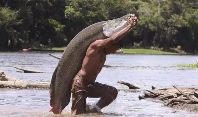 出差要关注的东西,国外黑暗料理