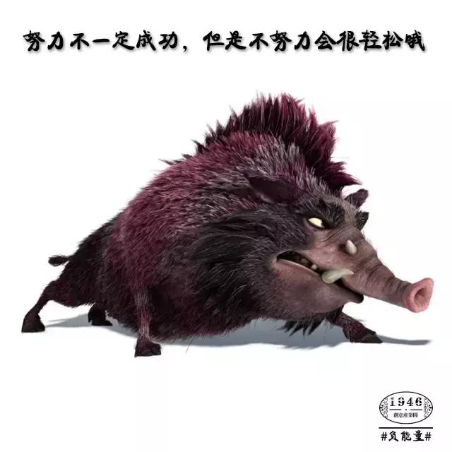 迷茫的时候静静下心来好好学习,哪些话可以让人摆脱负能量和迷茫