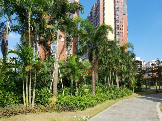 三星note7王者荣耀测评,三星note7机皇