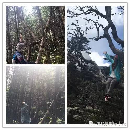 螺髻山风景区攻略,螺髻山哪些景点好