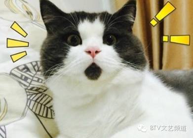 她被曝16年交14任男友，如今出现第15任！