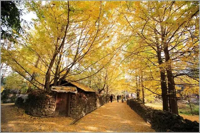 旅行中不期而遇的美好瞬间,旅行遇见一路风景山美水美