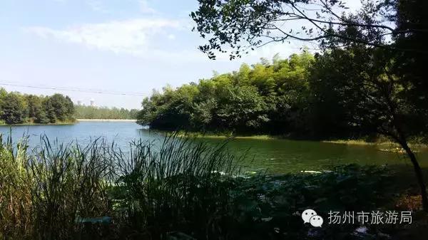 扬州约会的好地方免费,扬州免费开放的景点推荐