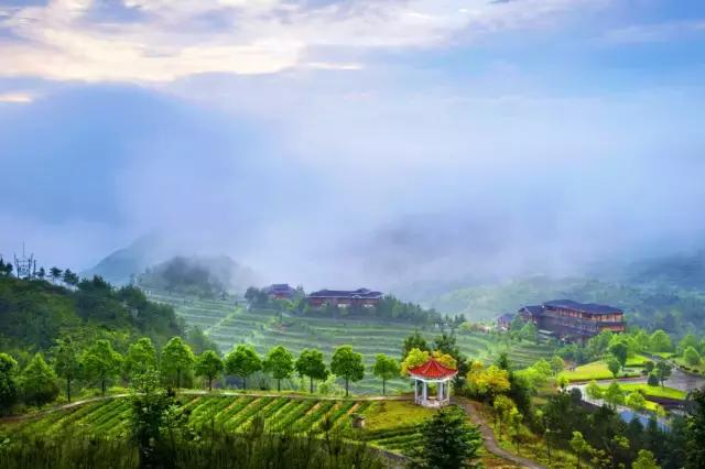 走进中国茶都安溪，看看是怎么样的一座城市