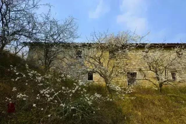 走进中国茶都安溪，看看是怎么样的一座城市