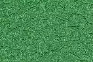 木头家具上有油漆怎么办,木头在做家具刷漆之前如何驱虫