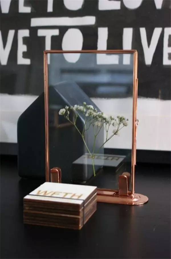 植物标本怎么装饰墙面 (植物标本室内装修挂件)