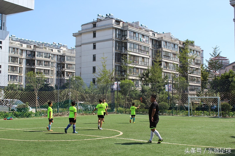 东晓足球,临沂绿荫足球俱乐部电话