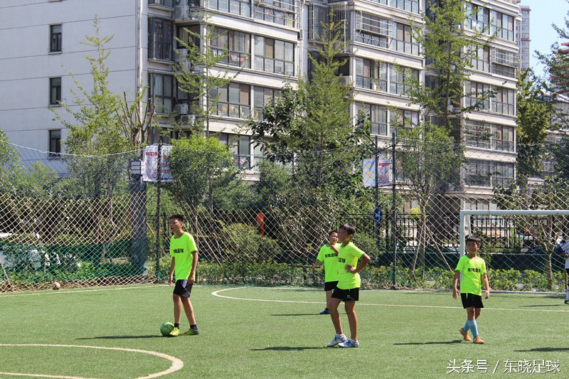 东晓足球,临沂绿荫足球俱乐部电话