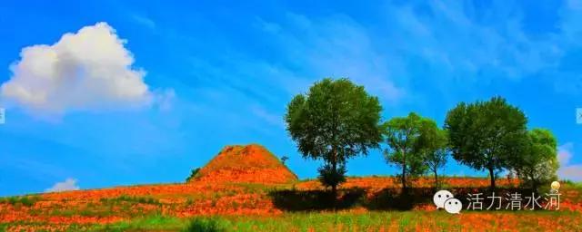 古镇乡情摄影作品欣赏,最美绿色山河风景摄影作品